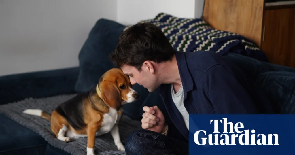 Gene-edited beagles may offer a future option for people with dog allergies | Gene editing