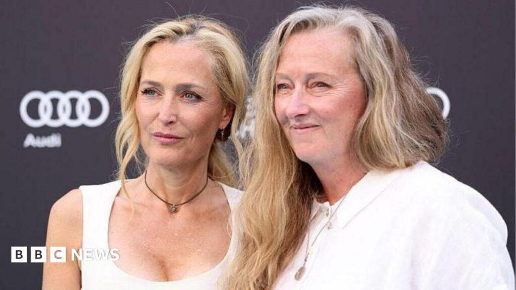 Gillian Anderson felt ‘betrayed’ after The Salt Path allegations
