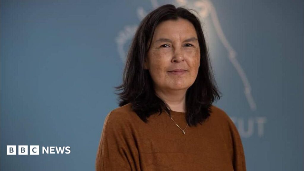 Greenland says findings on forced contraception genocide allegation not final