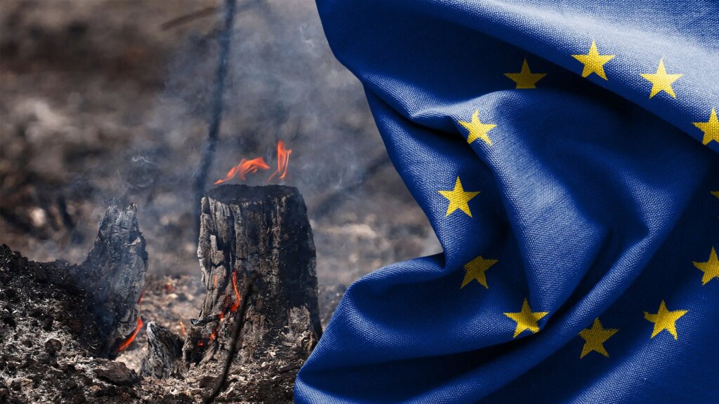 Heatwaves and energy crunch: Can Europe withstand a double shock? | Business and Economy