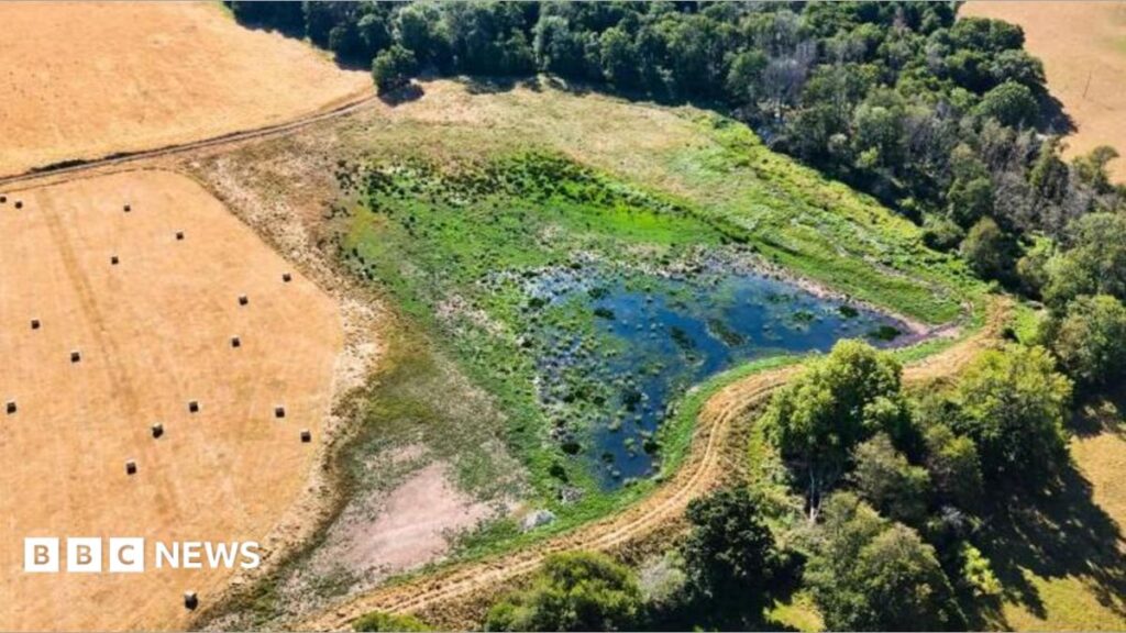 Hottest-ever West summer inspires project to prevent extinctions