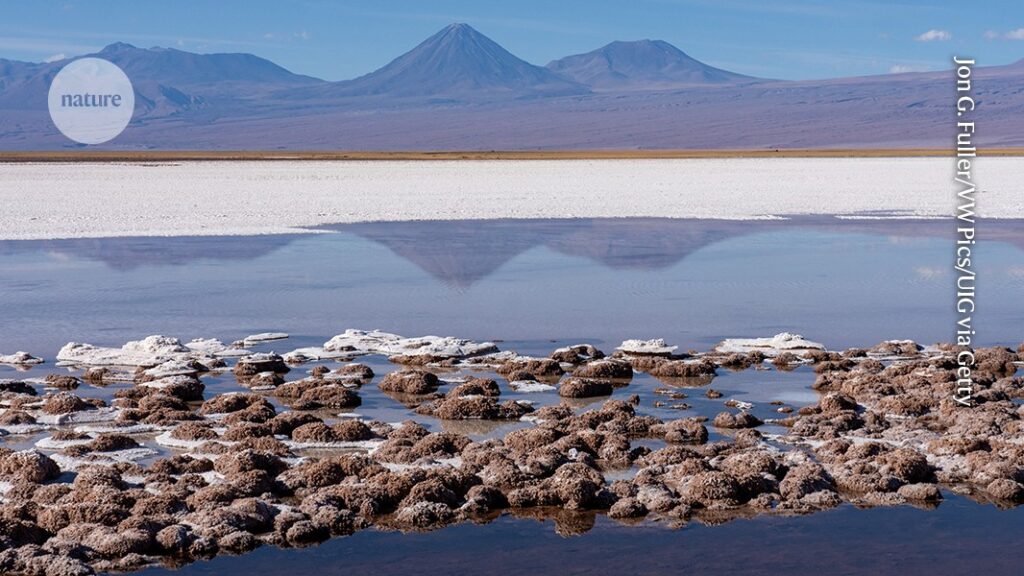 How the story of life and our planet unfolded — together