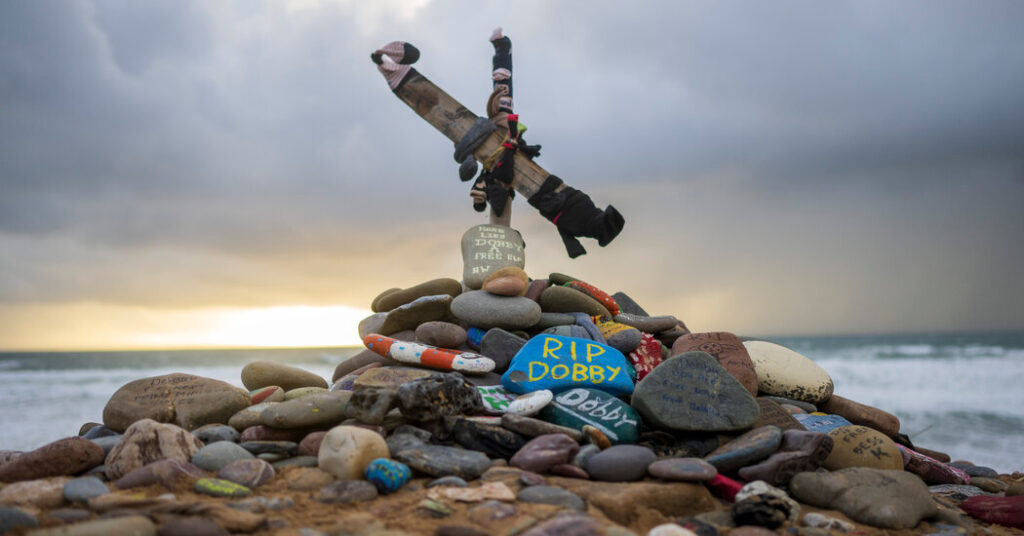 How ‘Harry Potter’ Fans Protected Dobby’s Grave From the Path of a U.K.-Ireland Power Line How ‘Harry Potter’ Fans Protected Dobby’s Grave From the Path of a U.K.-Ireland Power Line