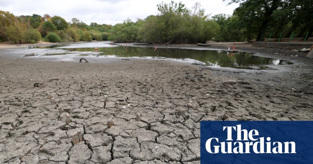 It’s finally raining. Will it be enough to end the drought? – podcast | Science