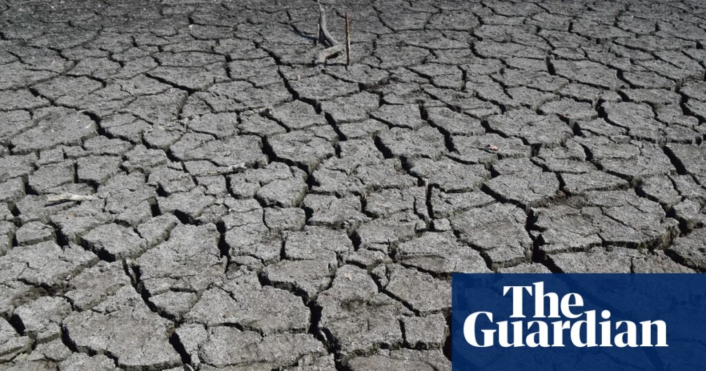 It’s finally raining, but the drought’s not over | Science