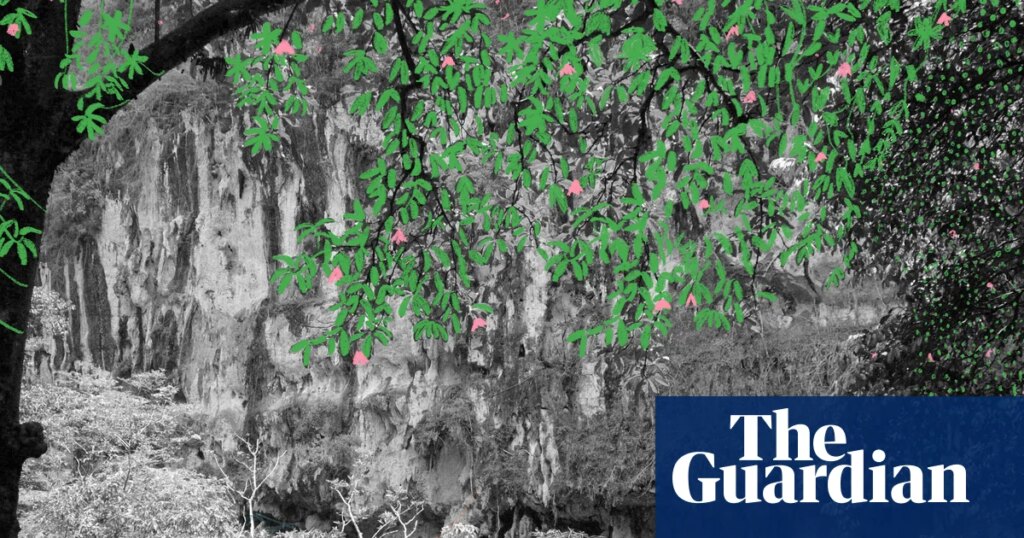 Kindness of strangers: Lost in the Thai rainforest, a fellow backpacker picked me up and carried me home | Australian lifestyle