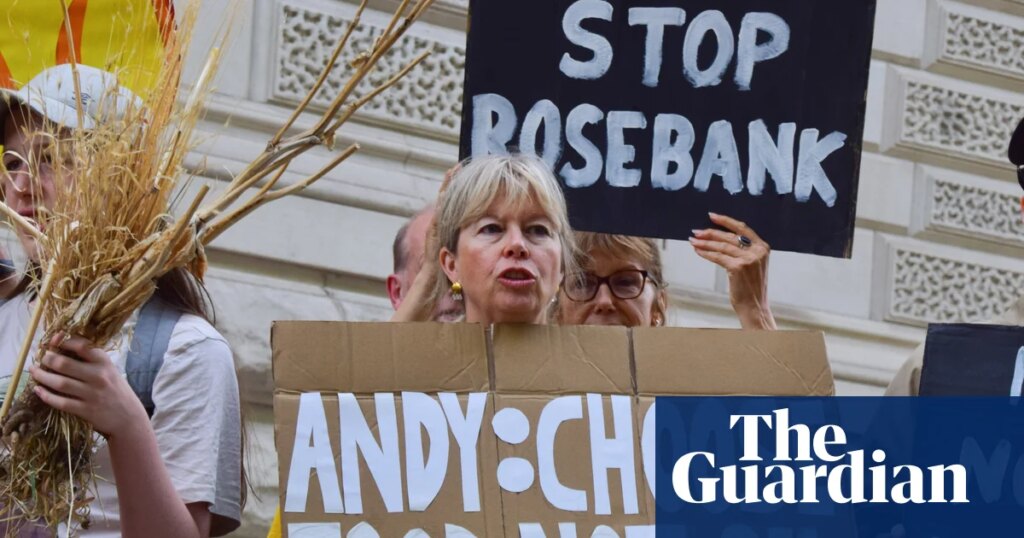 Labour ‘could lose up to 50 seats’ to Greens if new drilling in North Sea approved | Green party