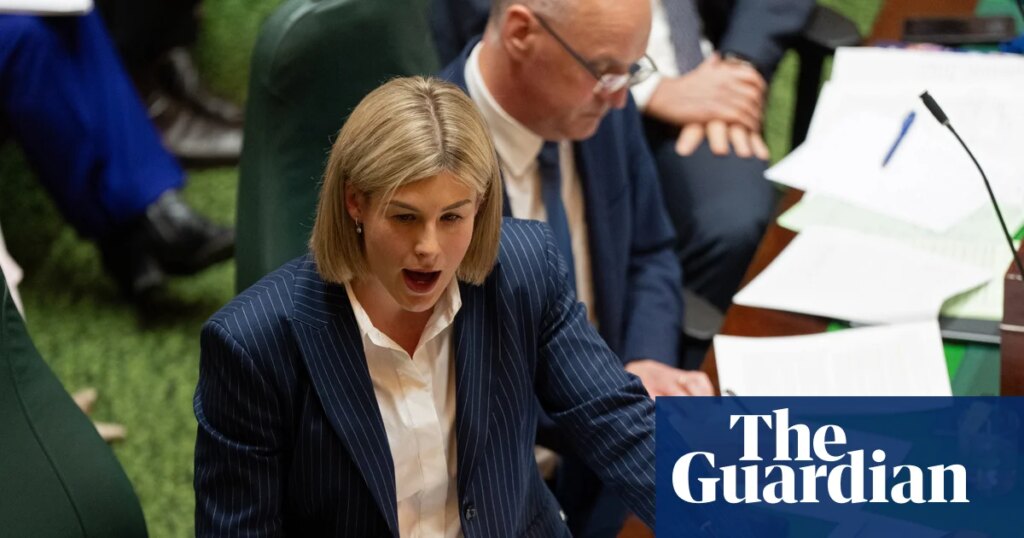 Liberal plan to split Victorian appeals court attacked as ‘thought bubble’ that would politicise judiciary | Victorian politics Liberal plan to split Victorian appeals court attacked as ‘thought bubble’ that would politicise judiciary | Victorian politics