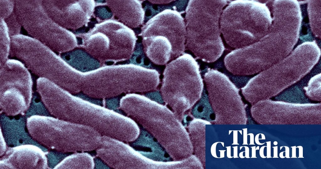 Louisiana warns beachgoers amid surge in flesh-eating bacteria infections | Louisiana