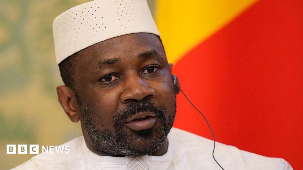 Mali coup plot: Presidential pardon for French alleged spy Yann Vezilier