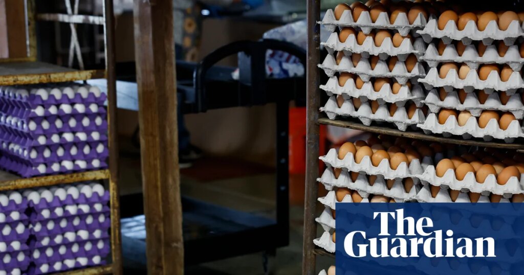 Massive egg recall in US south and south-west due to salmonella outbreak | US news