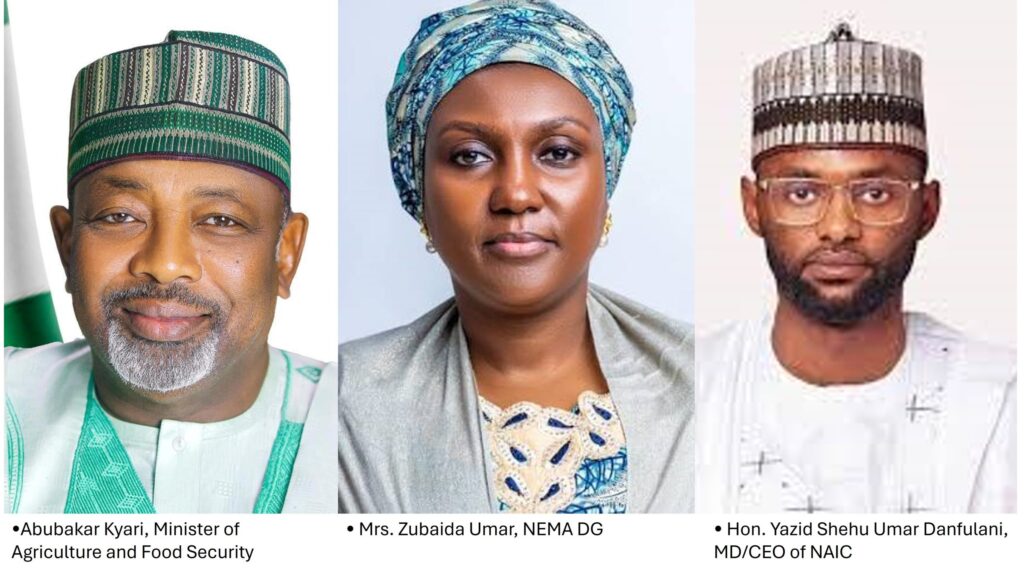 Missing Links in Nigeria’s First Line of Defence – THISDAYLIVE