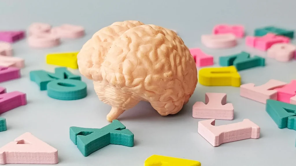 Multilingual people may have brains up to 13 years younger Multilingual people may have brains up to 13 years younger