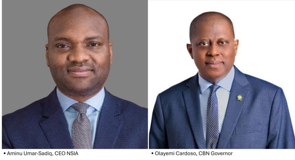 NSIA, GlobalInfluence for Nigeria’s Carbon Market – THISDAYLIVE