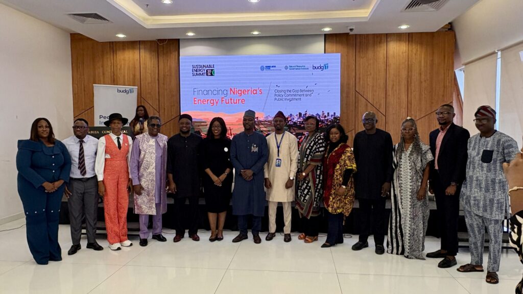 Nigeria must turn policies into bankable projects — official