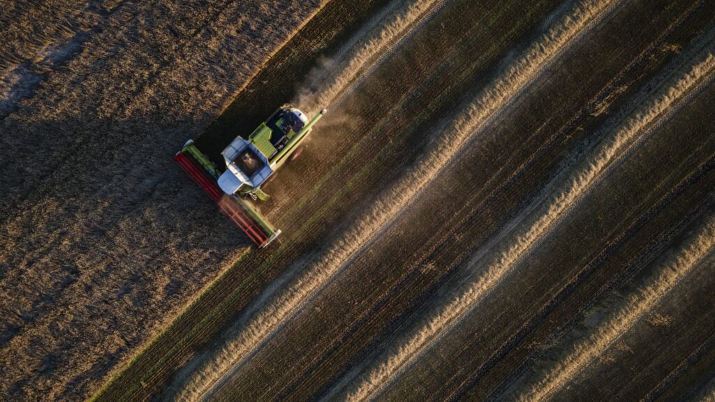 ‘Perfect storm’ brews for global food supply as grain prices soar
