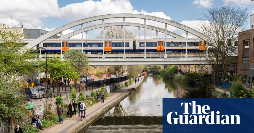 Plantwatch: Cities make a surprising refuge for threatened UK wildflowers | Wild flowers Plantwatch: Cities make a surprising refuge for threatened UK wildflowers | Wild flowers