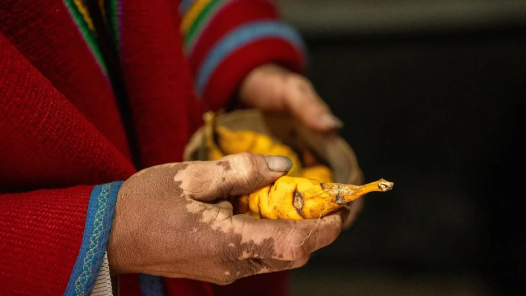 Potatoes may have given Indigenous Andeans a digestive superpower Potatoes may have given Indigenous Andeans a digestive superpower