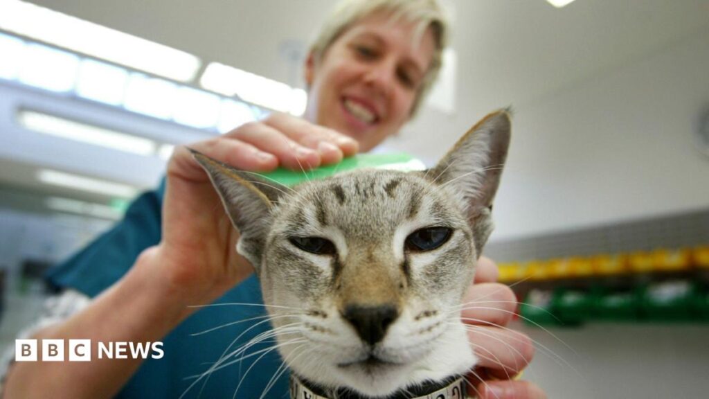 Restrict sale of pet flea treatments, government urged