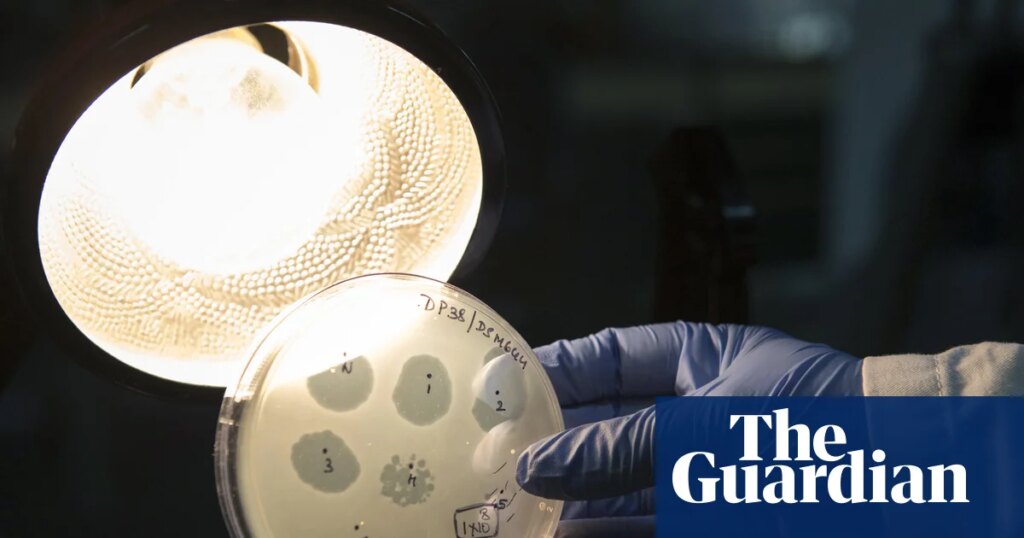 Safety fears as scientists make first viruses designed by AI | Science