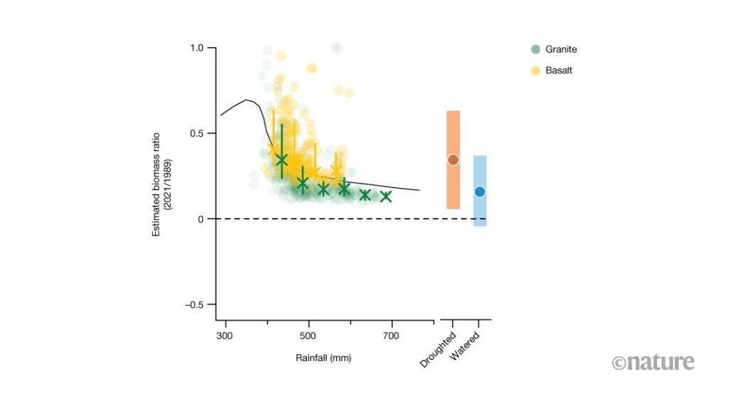 Savannah grass growth in dry conditions is boosted by increased CO<sub>2</sub> levels