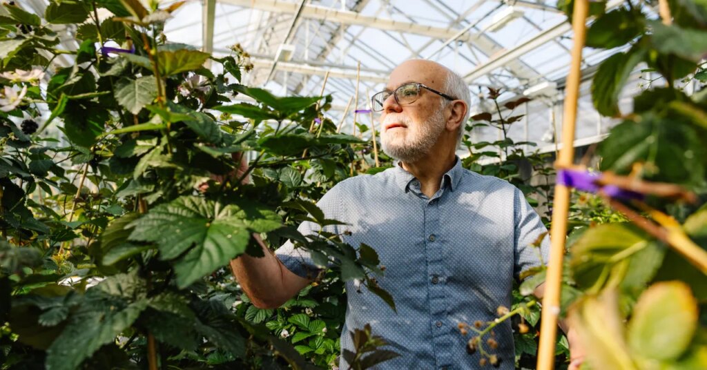 Seedless Blackberries and Cherries That Grow on Bushes Vie to Be the Future of Food Seedless Blackberries and Cherries That Grow on Bushes Vie to Be the Future of Food