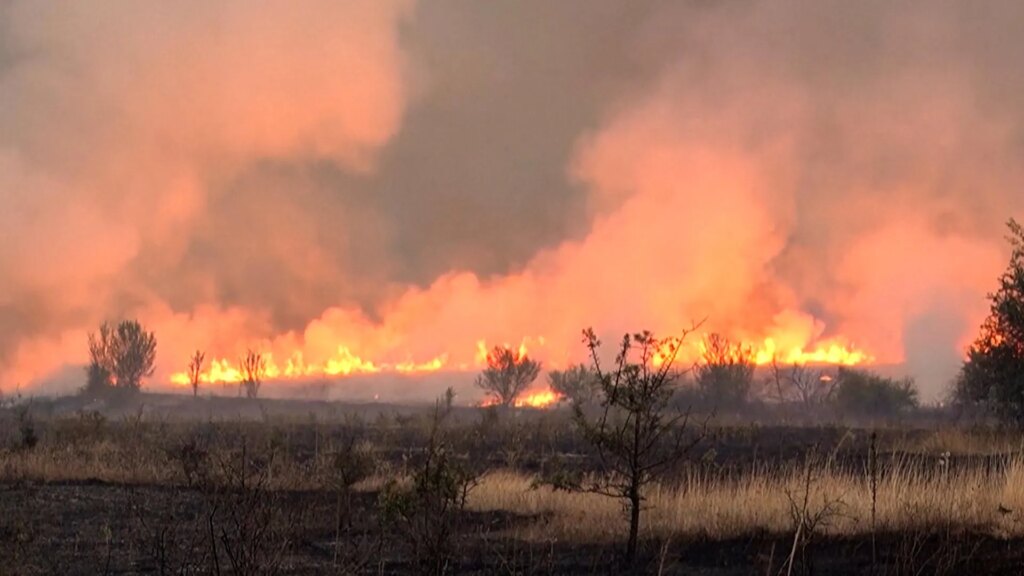 Serbia requests international assistance to battle wildfires | Climate