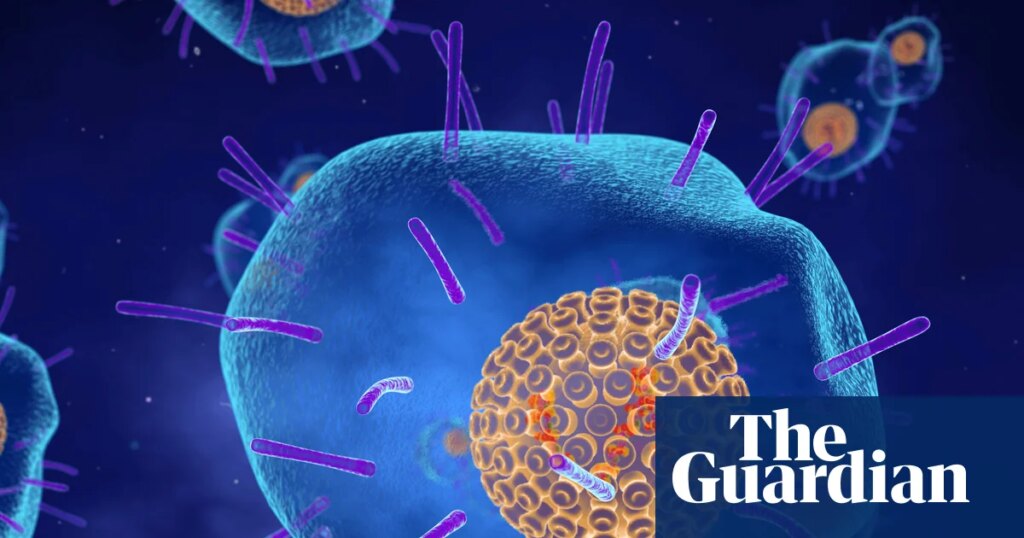 Shingles vaccine linked to lower risk of heart attack and stroke, study finds | Medical research