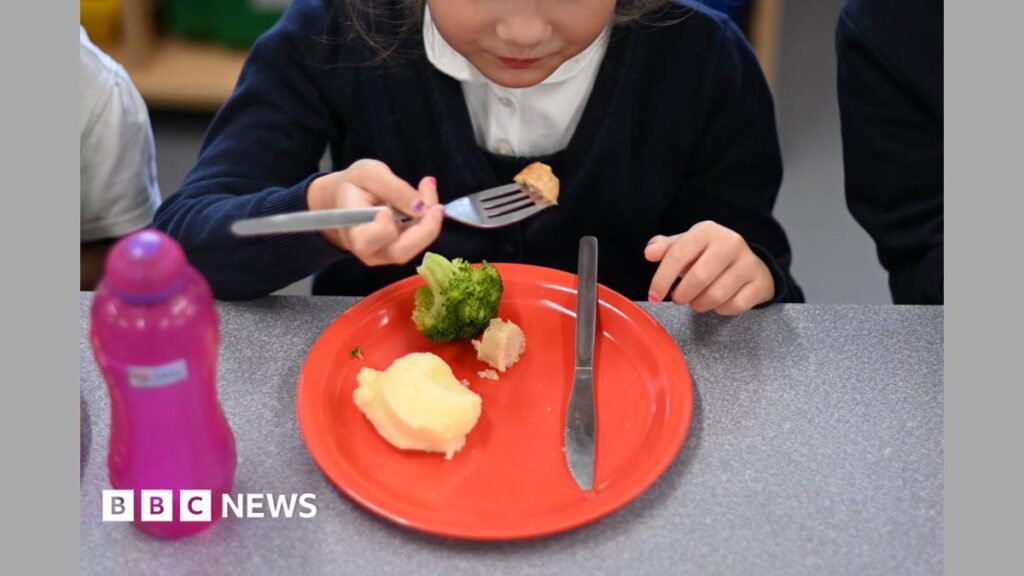 Should school holidays change to cope with extreme heat? Should school holidays change to cope with extreme heat?