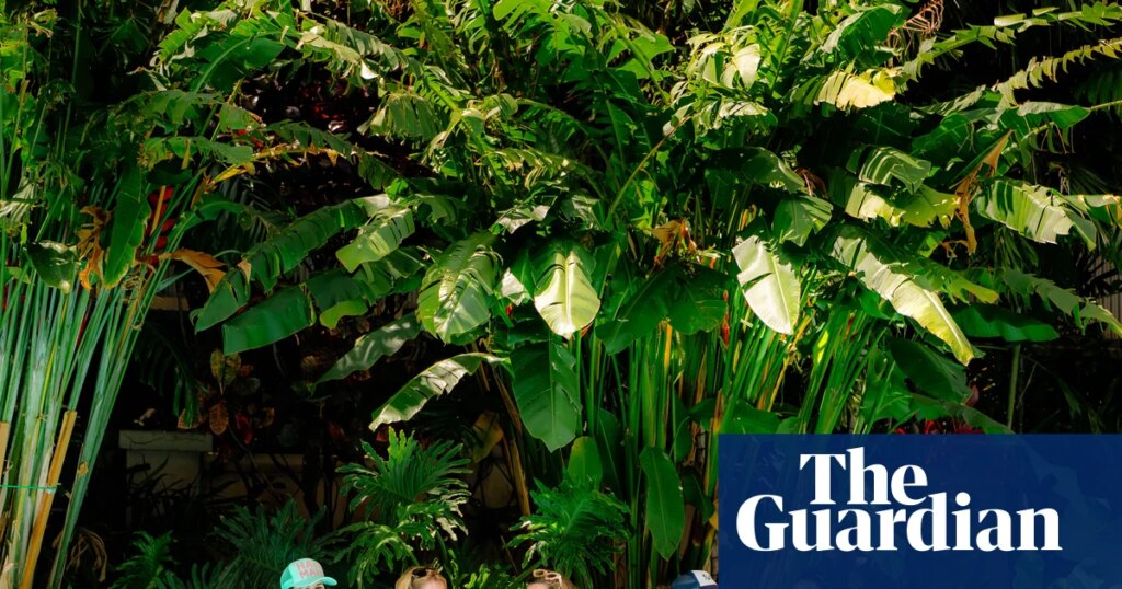 The great British switch-off: how floating retreats, mobile-free pubs and sauna book groups are liberating people from their phones | Smartphones