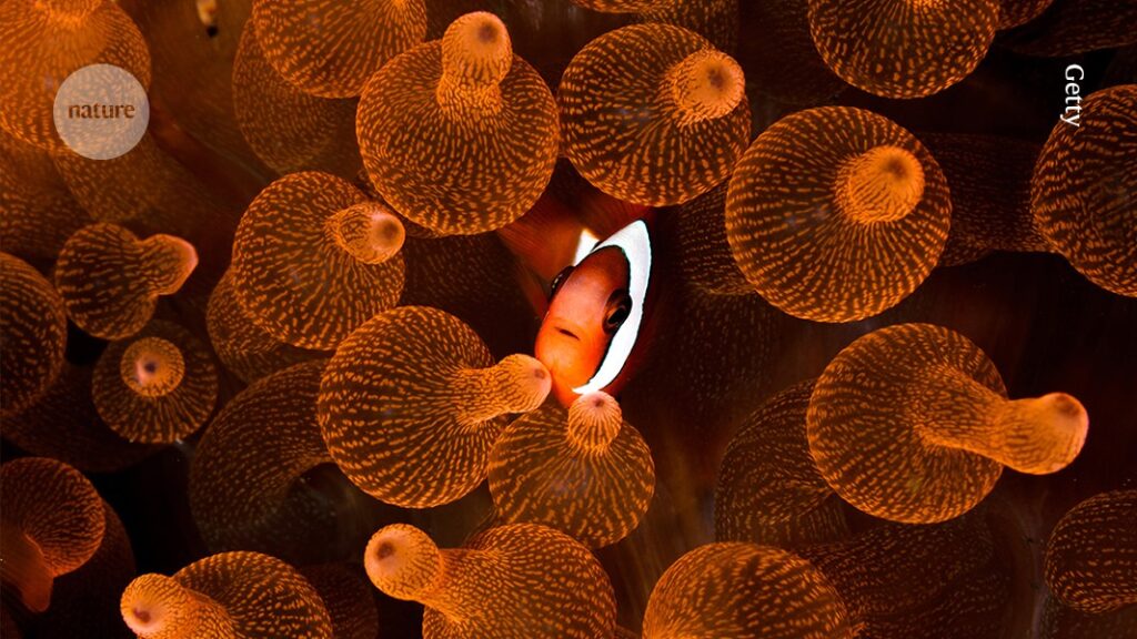 The secret relationships that govern life on Earth
