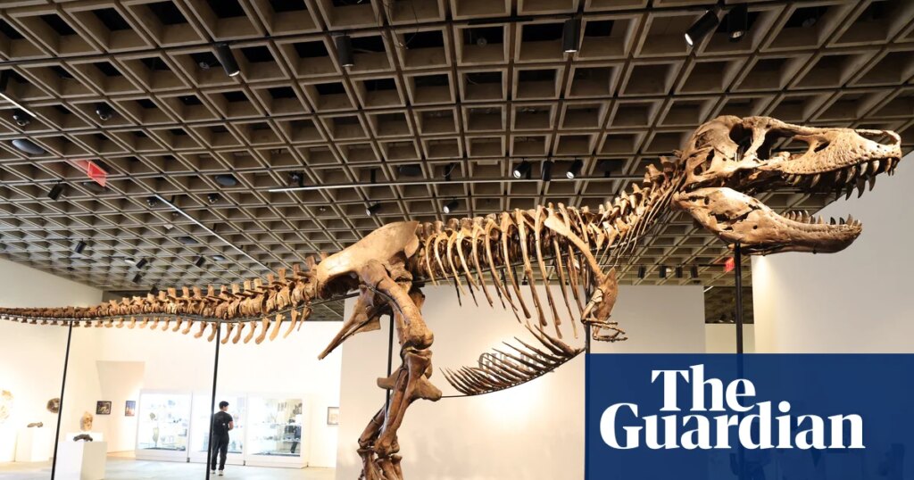The ultra rich are collecting fossils, and that’s bad for science – podcast | Science