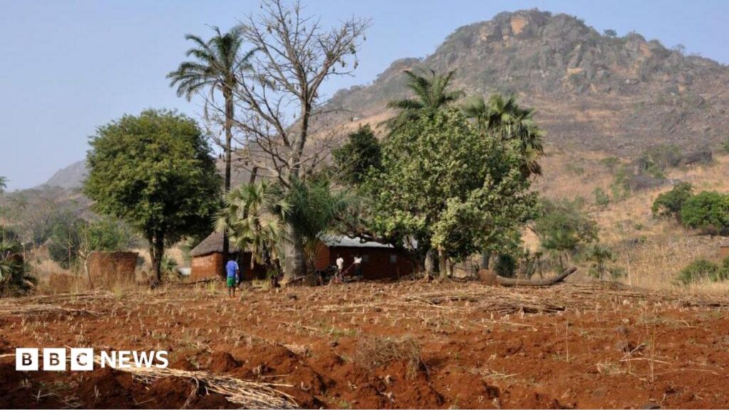 Togo charges two French journalists over incorrect documents, rights group says