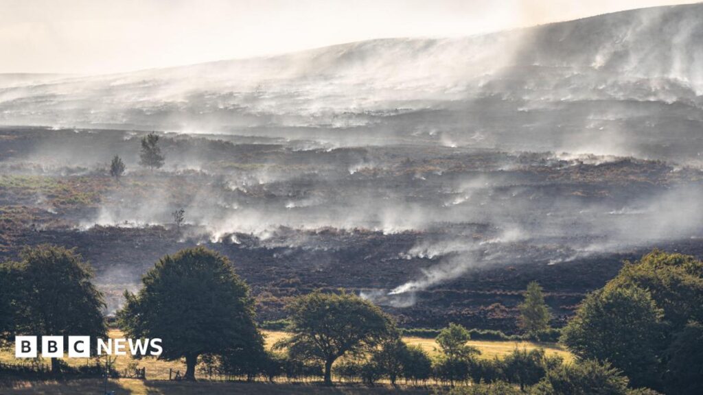 Torfaen becomes global hotspot for carbon emissions after wildfires