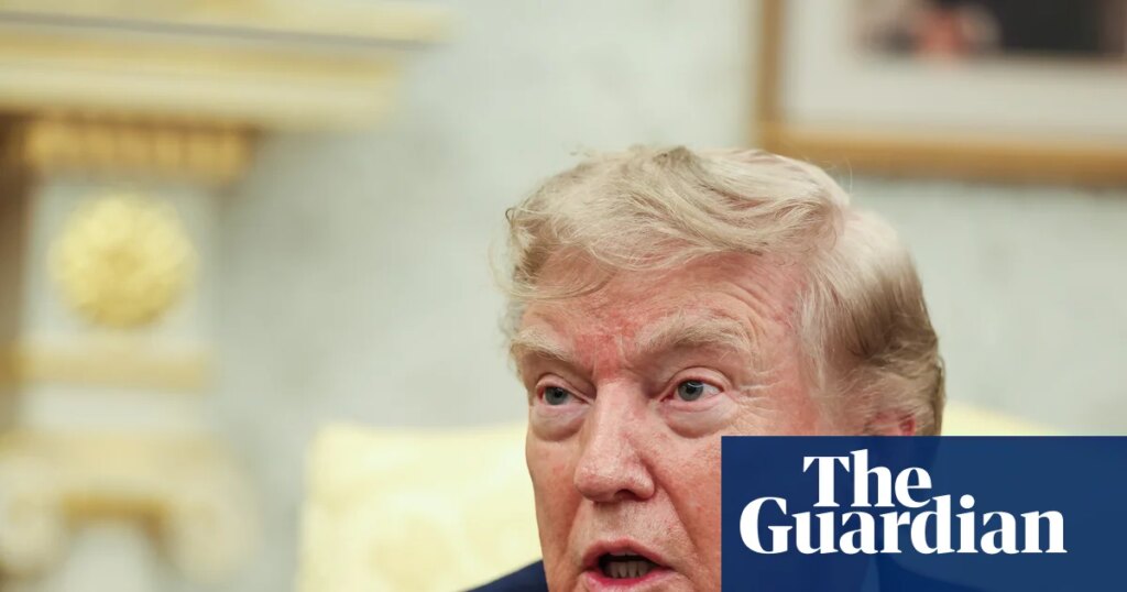 Trump reportedly casts mail-in ballot in Florida Republican primary | Donald Trump
