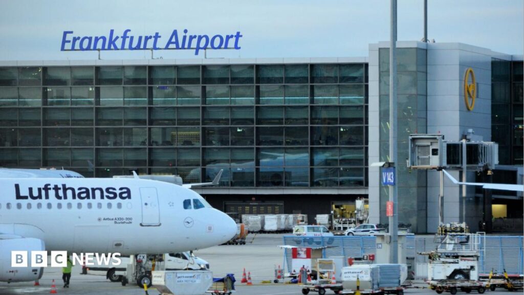 Two German airport workers die of malaria after ‘mosquito arrives on plane’