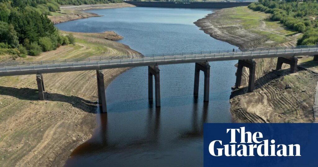 UK government ‘irresponsible’ for not publishing emergency drought plans | Drought UK government ‘irresponsible’ for not publishing emergency drought plans | Drought