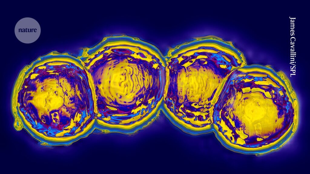 Universal vaccine for pneumococcal disease moves closer to reality