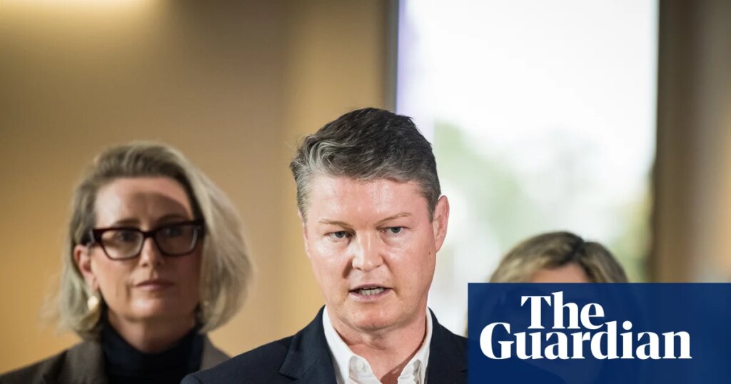 Victorian Labor promises free dental care if re-elected in Australia-first move | Victorian politics