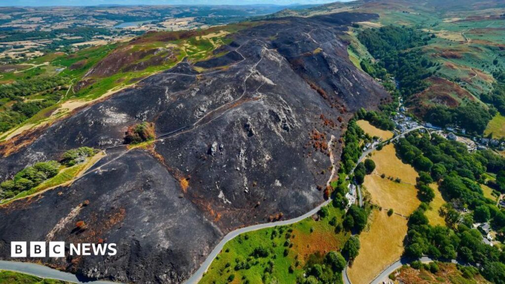 Wales’ wildfires could see nature take centuries to recover, environmentalists say