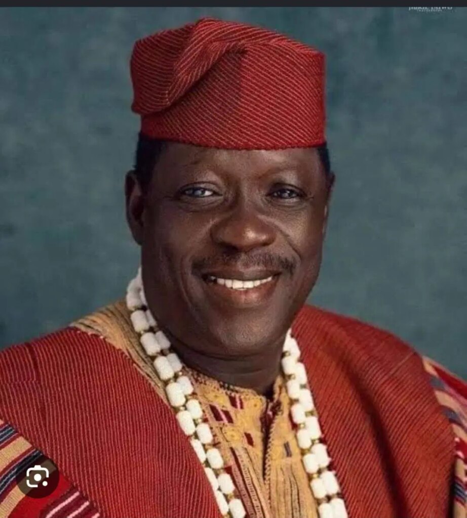 Why Ogogo cannot be moved from hospital — Jide Kosoko
