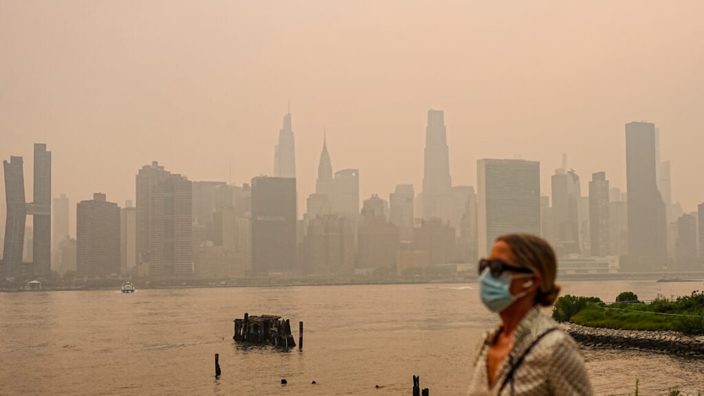 Wildfire smoke now bigger prenatal threat than human sources of air pollution Wildfire smoke now bigger prenatal threat than human sources of air pollution