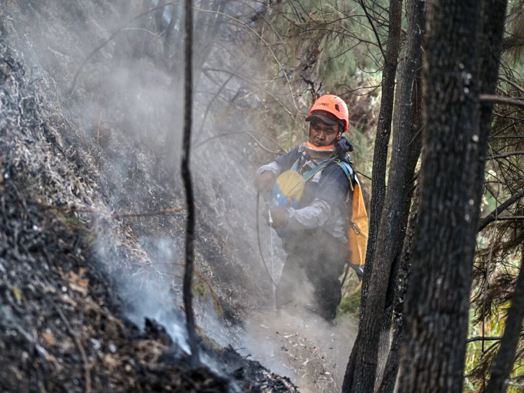 Wildfires burn across Indonesia as officials cite El Nino as a cause | Climate News