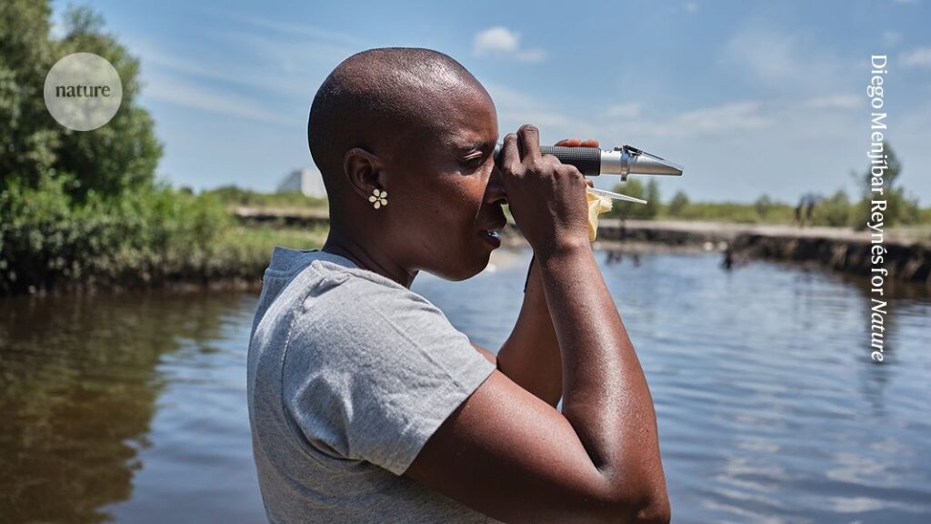 restoring Mozambican mangroves — in photos