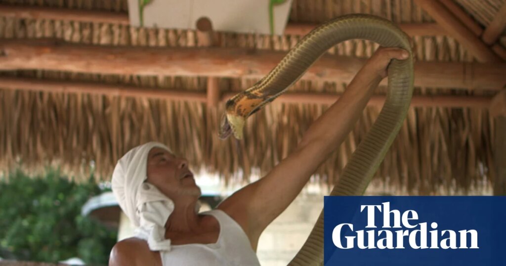 ‘Even the good guys were doing bad things’: the wild, twisted story behind the new Tiger King | Documentary