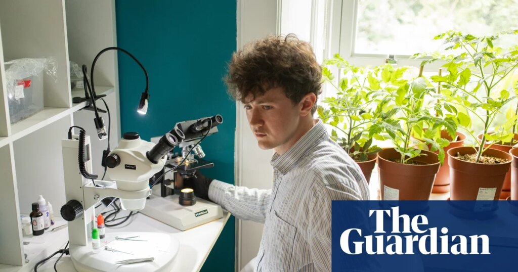 ‘I have an understanding housemate’: the student who makes videos of fungus on faeces | Fungi