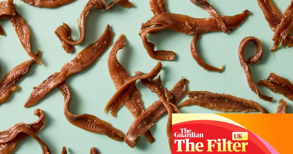 ‘Intense, salty, foul’: the best (and worst) supermarket anchovies, tasted and rated | Food ‘Intense, salty, foul’: the best (and worst) supermarket anchovies, tasted and rated | Food