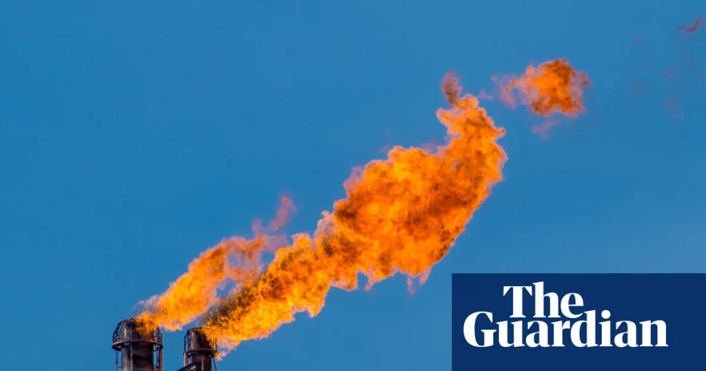 There’s a quick way to slow climate change. Why isn’t everyone doing it? – video | Climate crisis