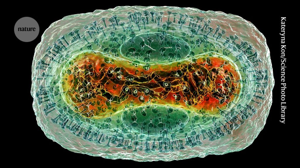 AlphaFold ‘goes viral’: database adds protein complexes of common viruses