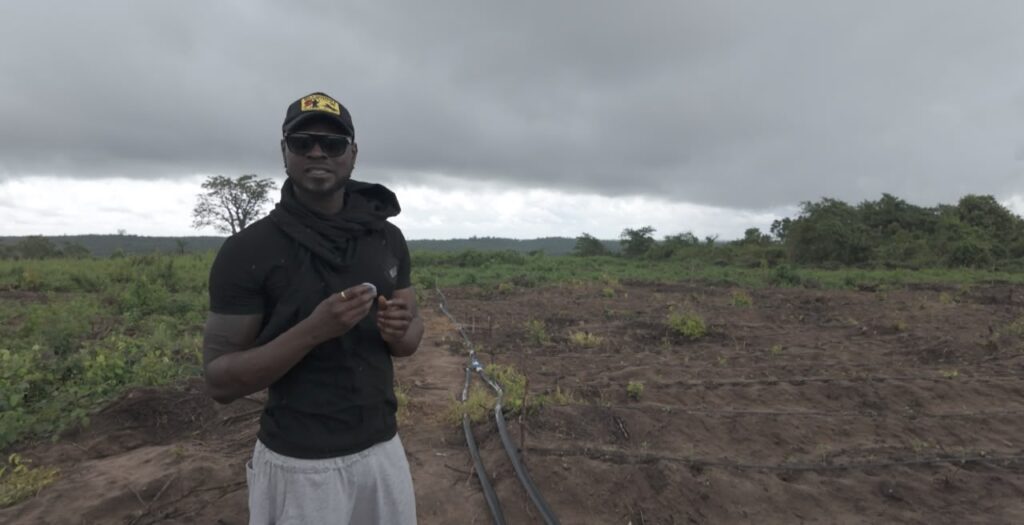 Anidugbe Launches Daily Food Farms, Makes Agriculture Accessible to Professionals – THISDAYLIVE